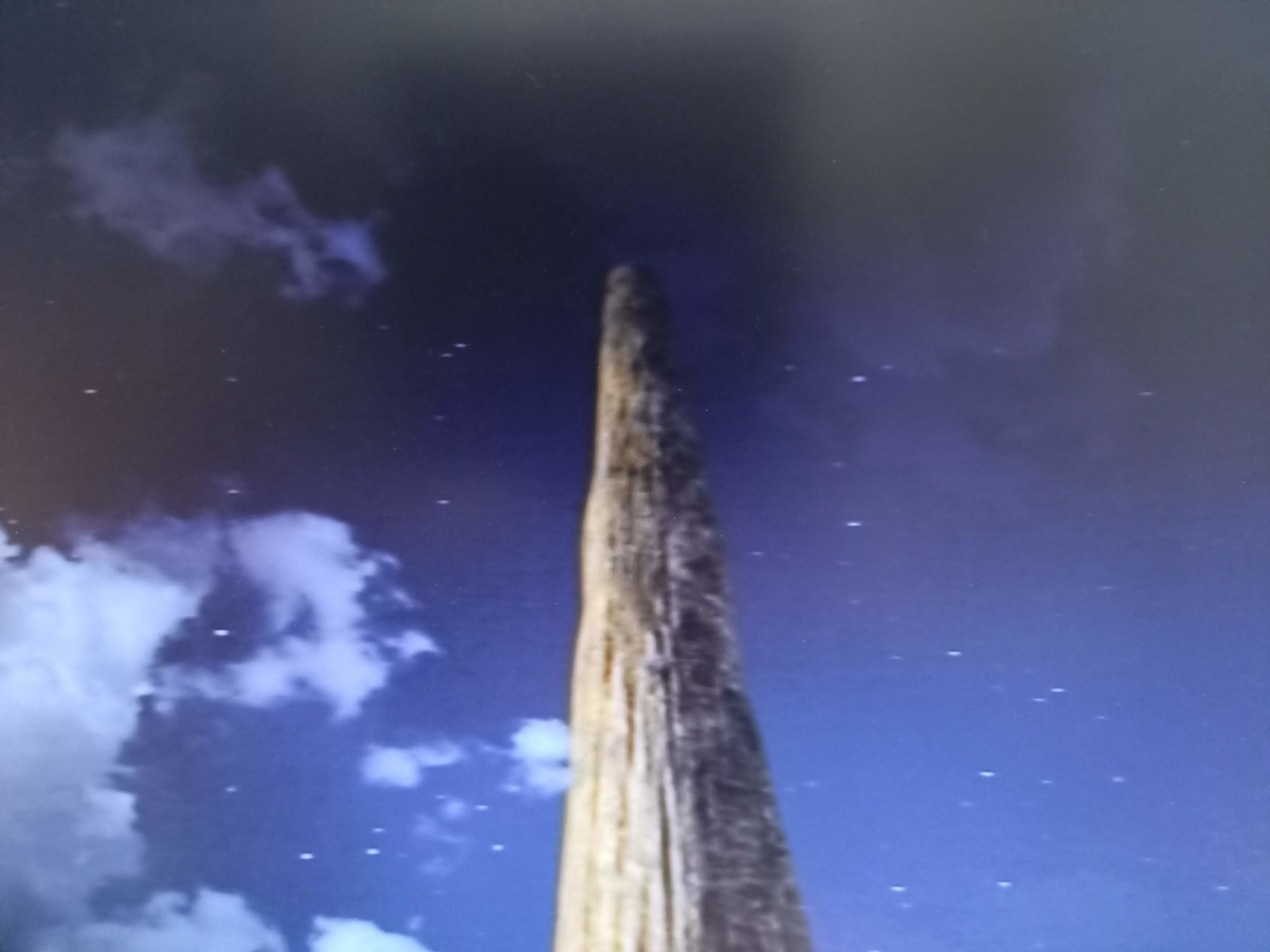 f:id:amefuule:20210803204711j:plain