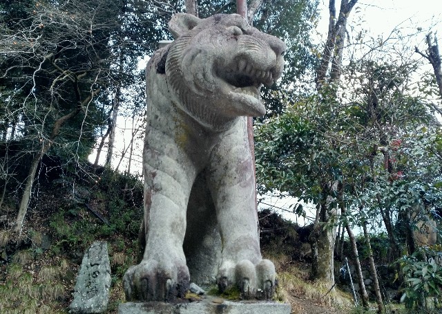 f:id:ameko_o7:20220112042541j:plain