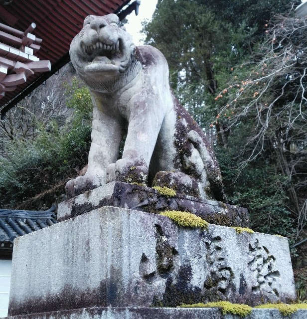 f:id:ameko_o7:20220112043141j:plain