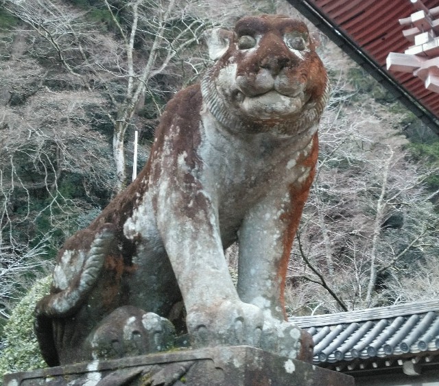 f:id:ameko_o7:20220112084016j:plain