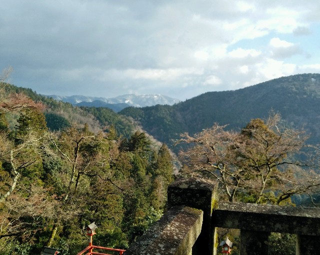 f:id:ameko_o7:20220112091423j:plain