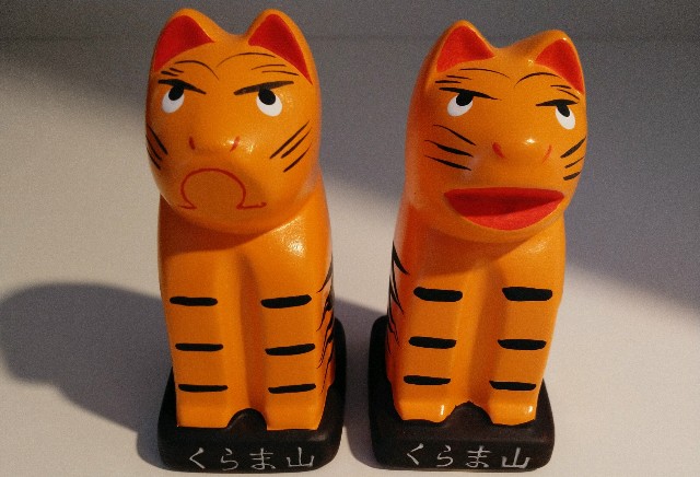 f:id:ameko_o7:20220112123433j:plain