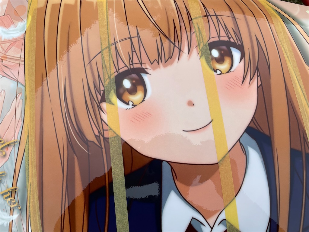 f:id:amekuressyu:20241009101031j:image