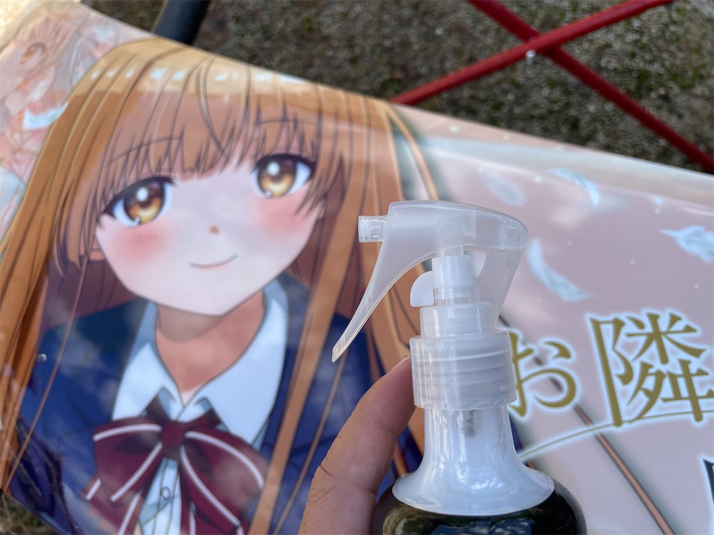f:id:amekuressyu:20241016205836j:image