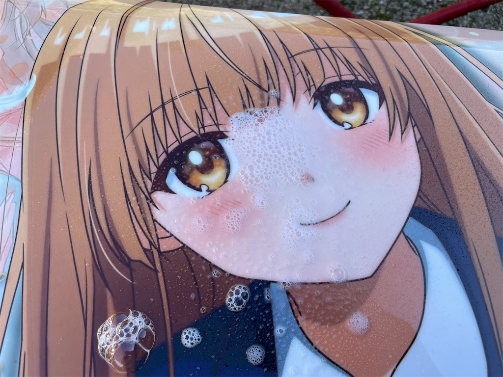 f:id:amekuressyu:20241020224831j:image