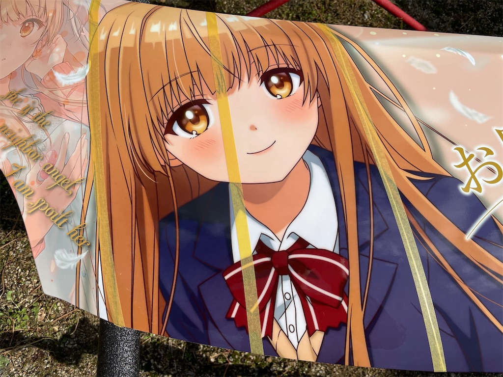 f:id:amekuressyu:20241104222707j:image