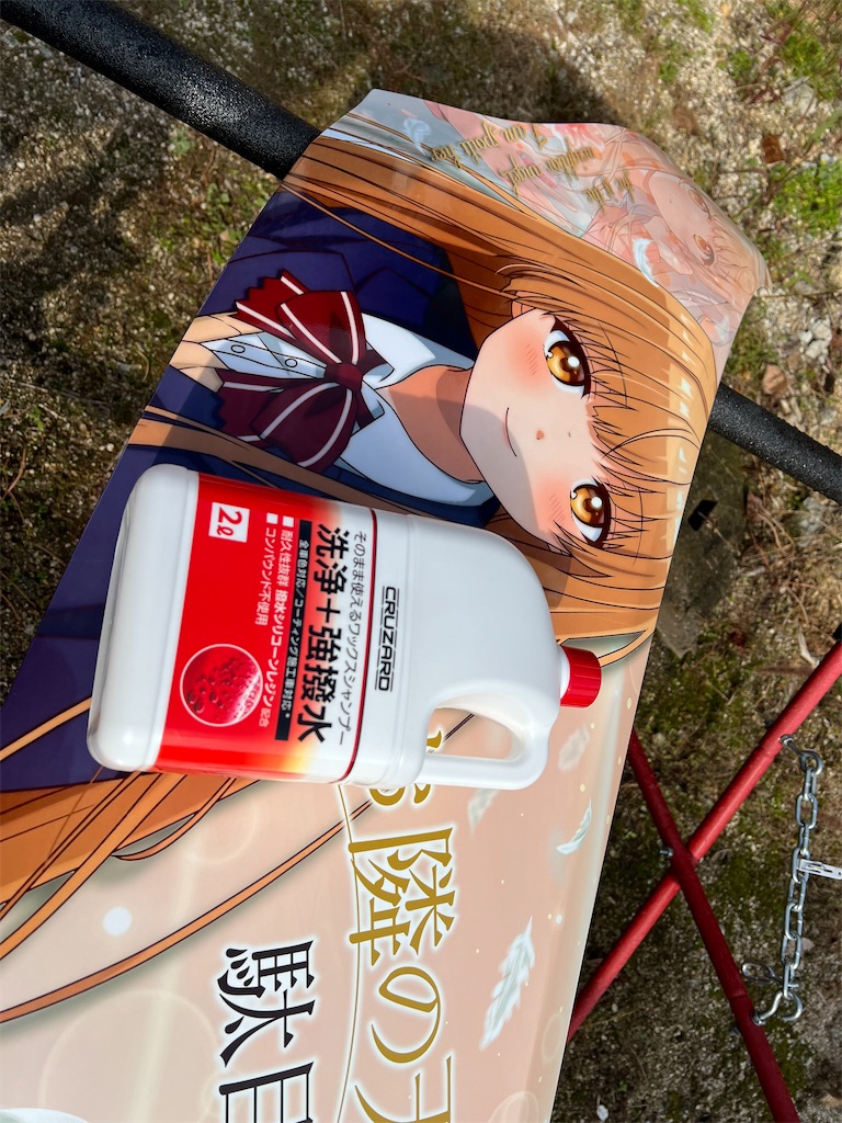 f:id:amekuressyu:20241115203248j:image