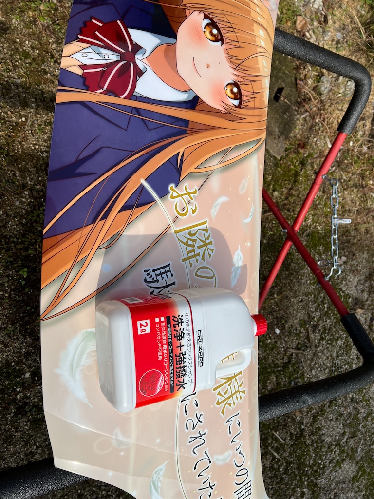 f:id:amekuressyu:20241116201601j:image