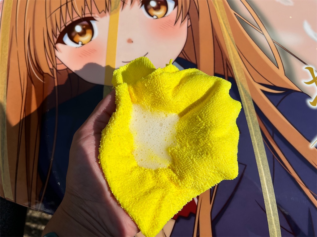 f:id:amekuressyu:20241116201604j:image