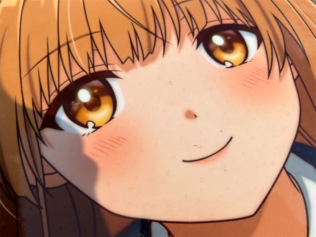 f:id:amekuressyu:20241203205717j:image