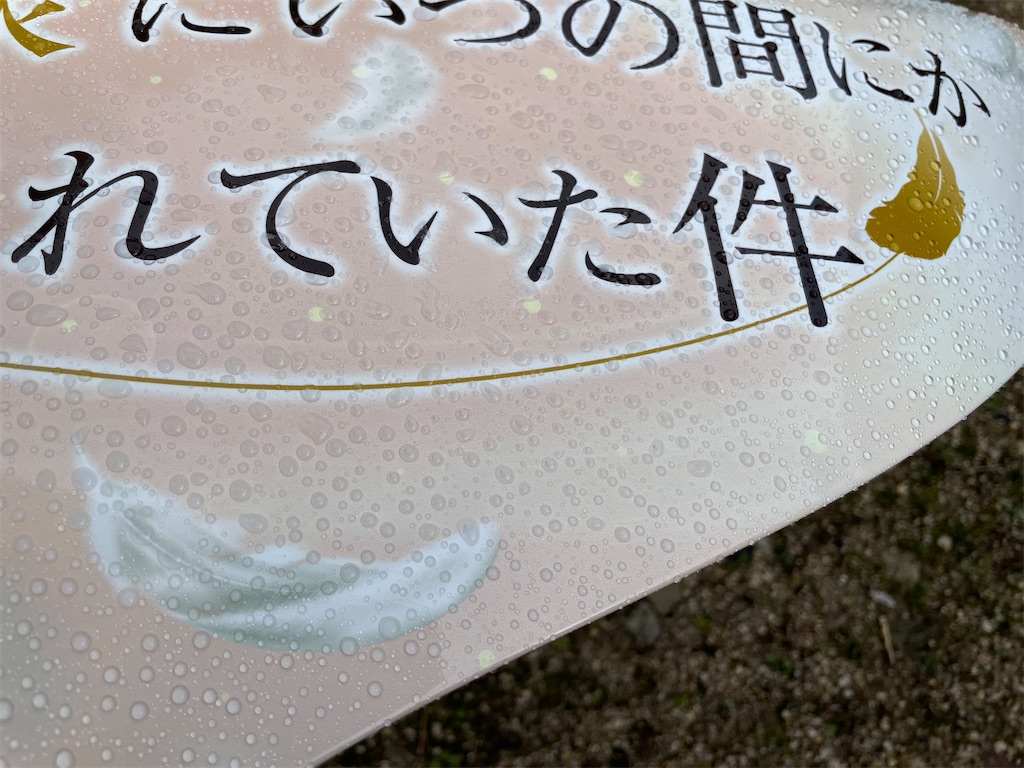 f:id:amekuressyu:20241205202039j:image