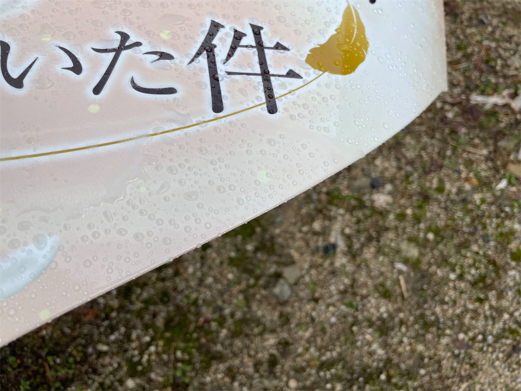 f:id:amekuressyu:20241205210931j:image