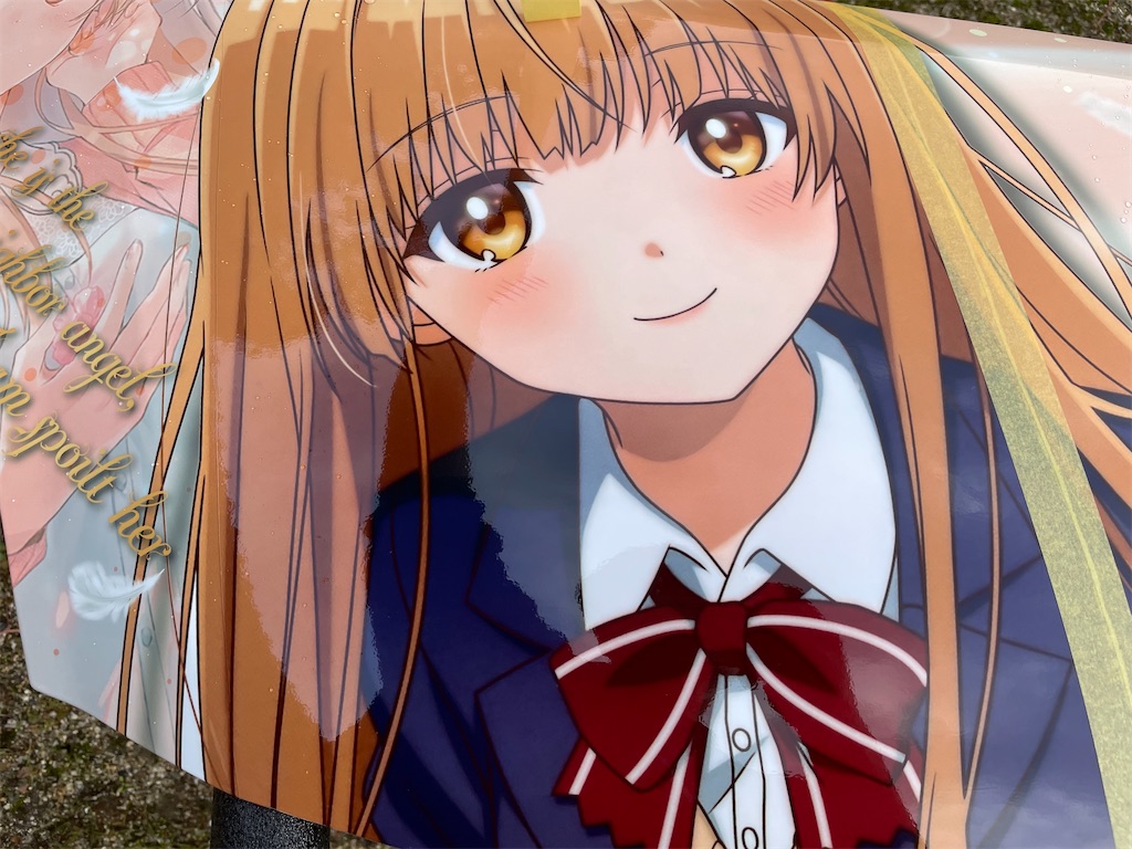 f:id:amekuressyu:20241206210104j:image