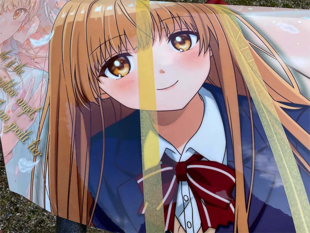 f:id:amekuressyu:20241208230550j:image