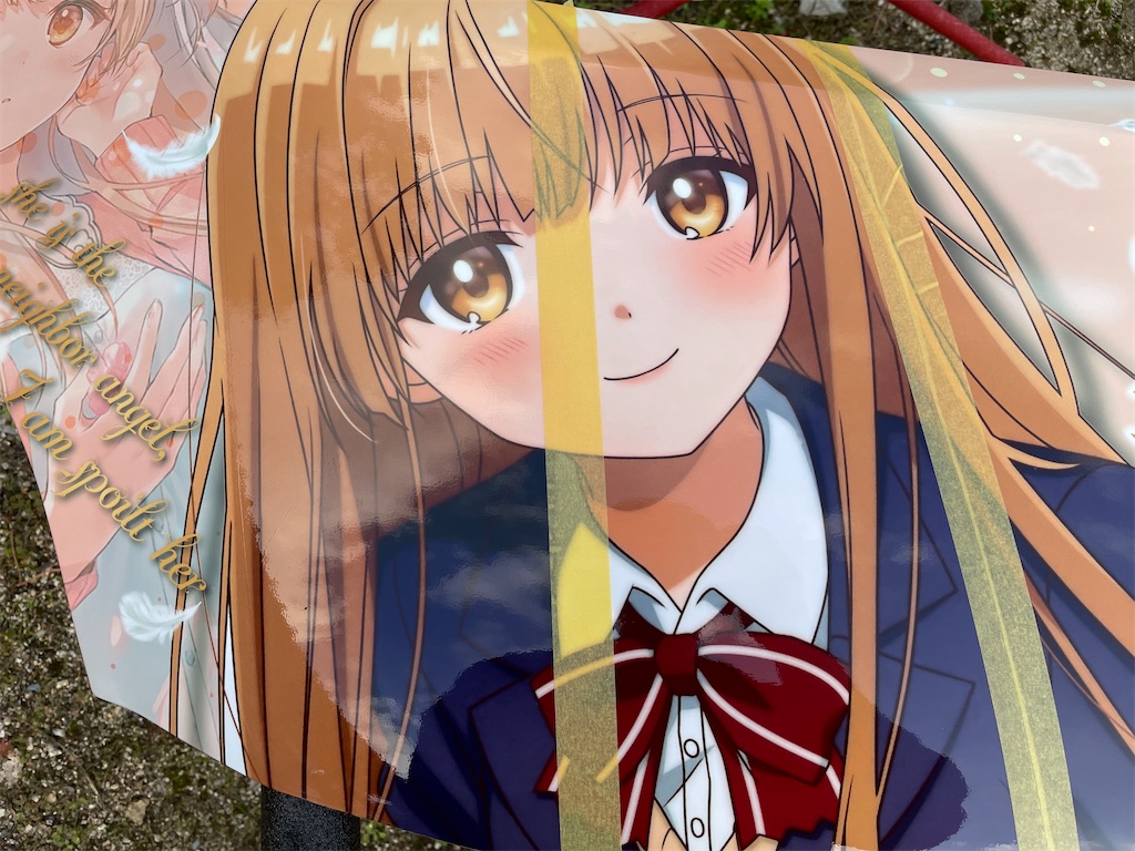 f:id:amekuressyu:20241208230557j:image