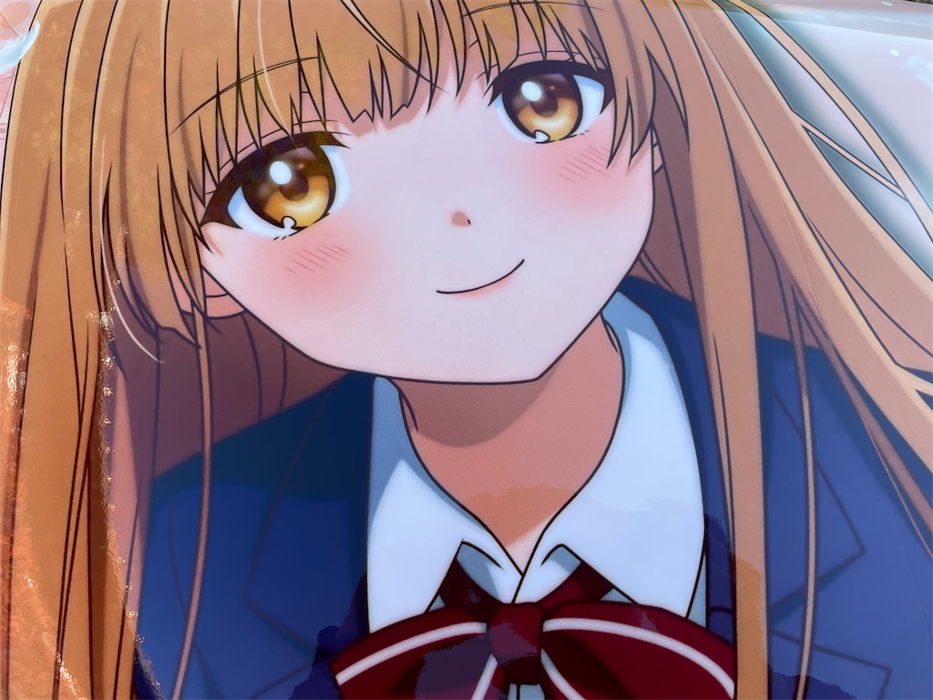 f:id:amekuressyu:20241209203943j:image