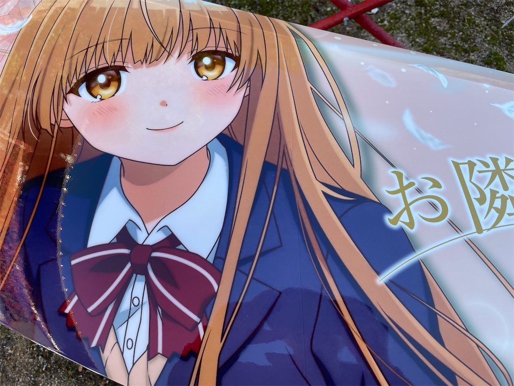 f:id:amekuressyu:20241209203950j:image