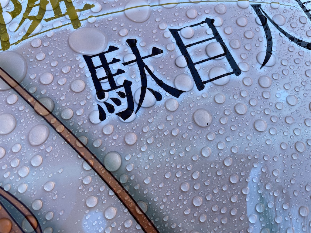 f:id:amekuressyu:20241209203954j:image