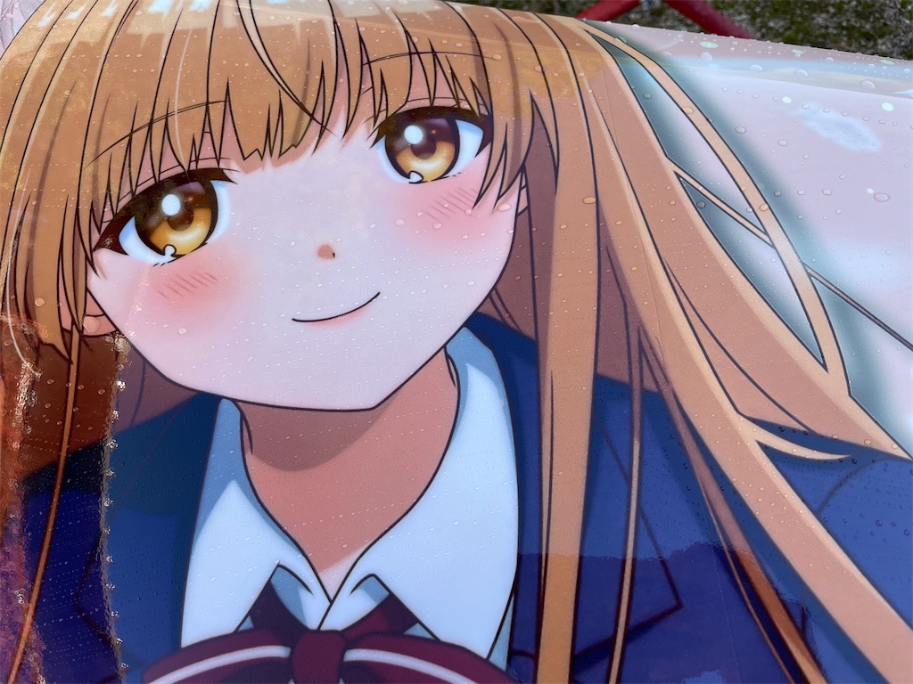 f:id:amekuressyu:20241209203958j:image