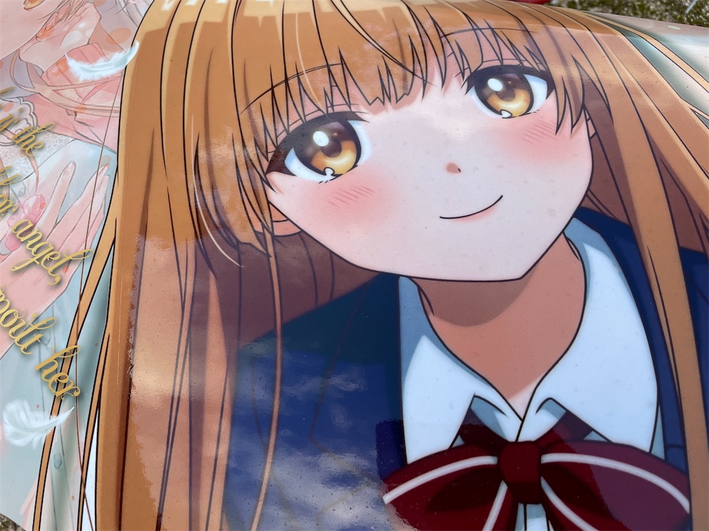 f:id:amekuressyu:20241216195413j:image
