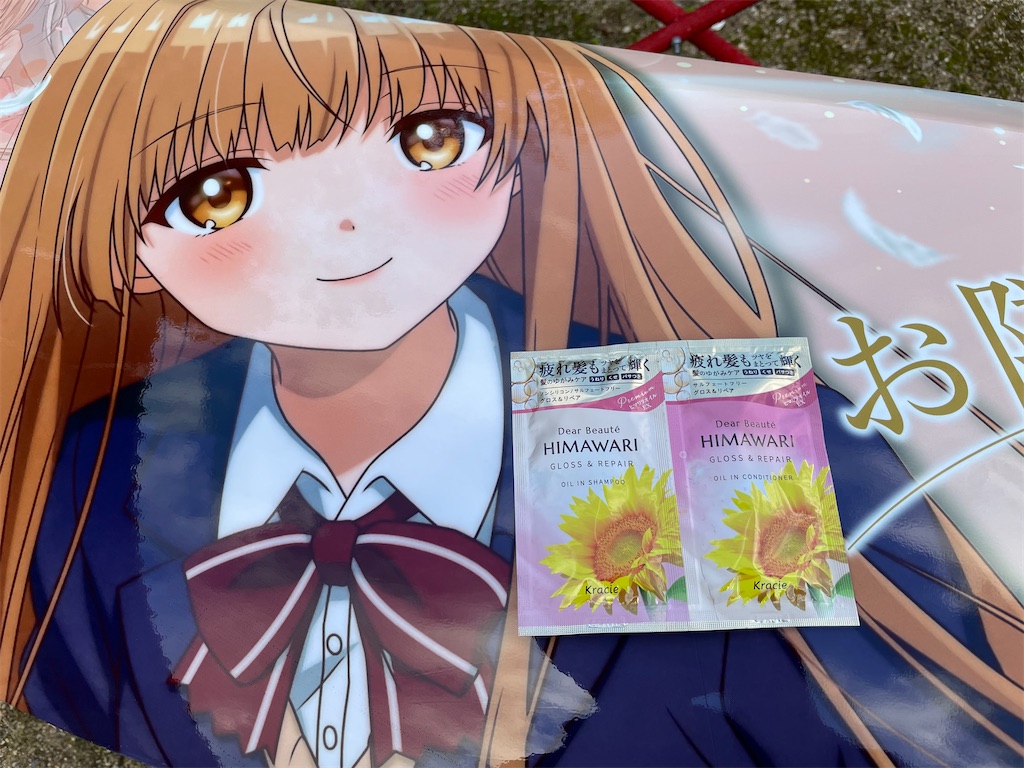 f:id:amekuressyu:20241217221508j:image