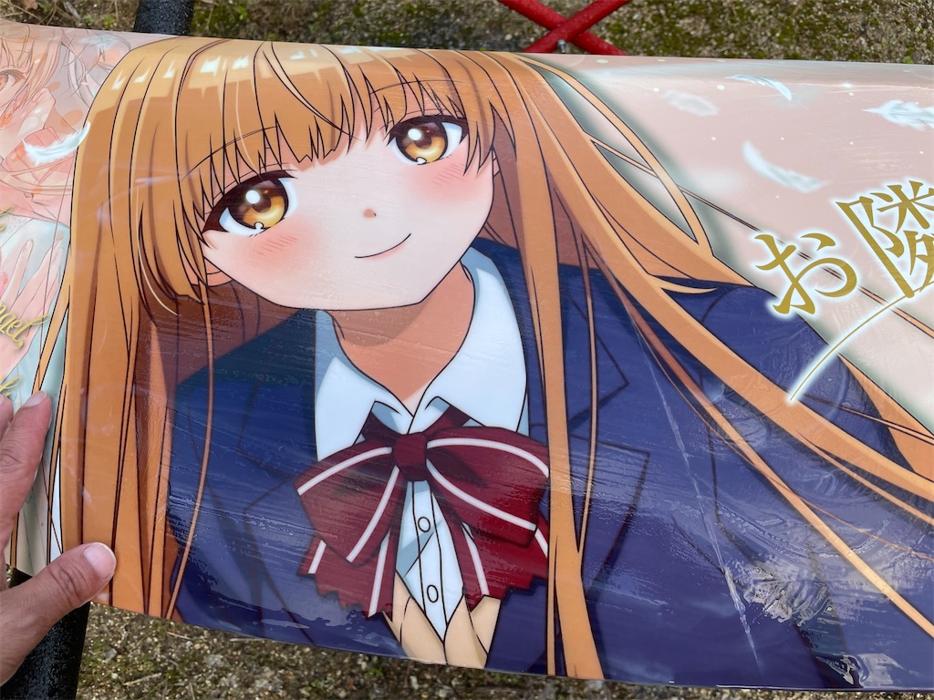 f:id:amekuressyu:20241217221511j:image
