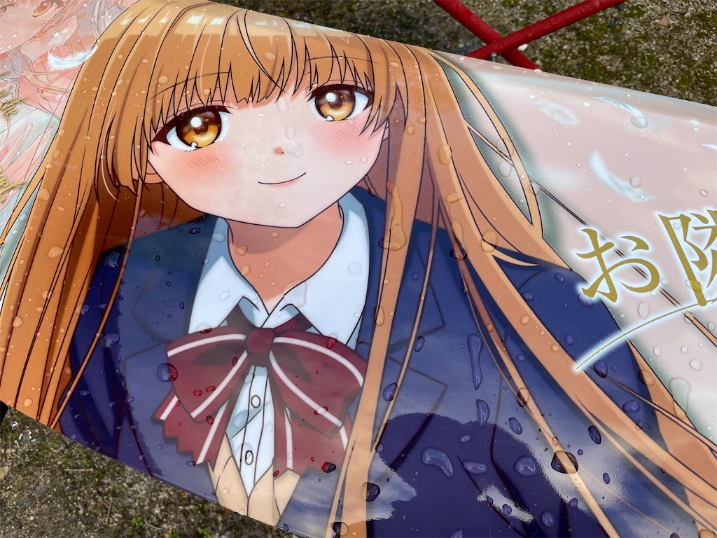 f:id:amekuressyu:20241217221518j:image