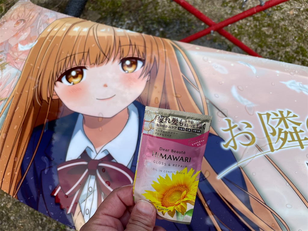 f:id:amekuressyu:20241217221522j:image