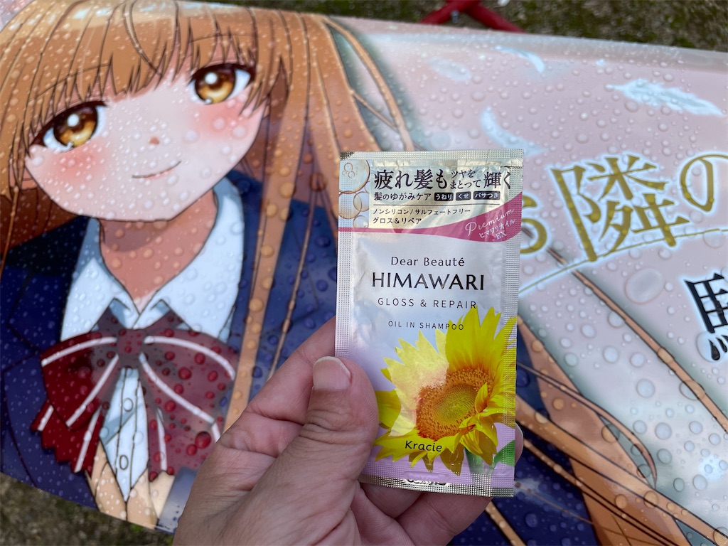 f:id:amekuressyu:20241217221528j:image
