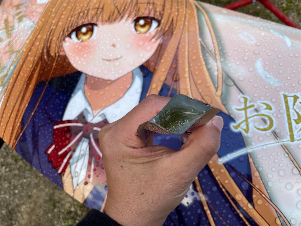 f:id:amekuressyu:20241217221600j:image