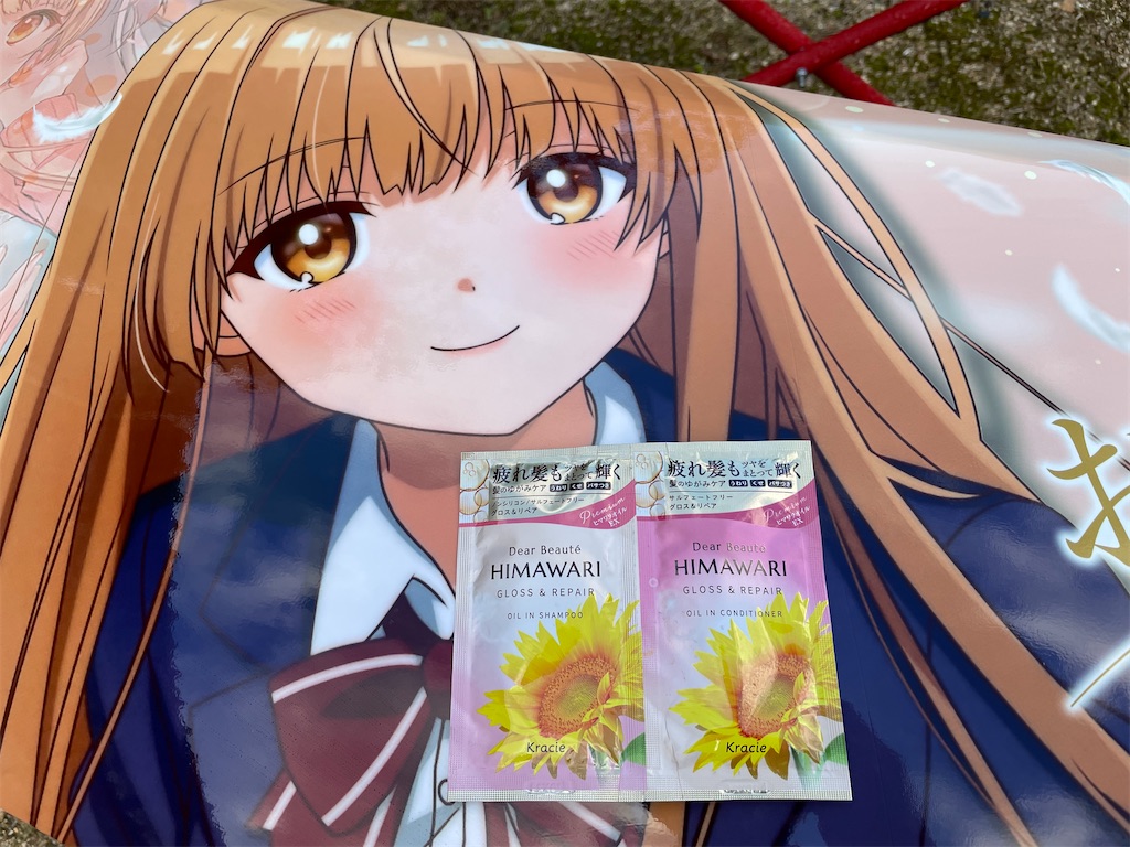 f:id:amekuressyu:20241217221604j:image