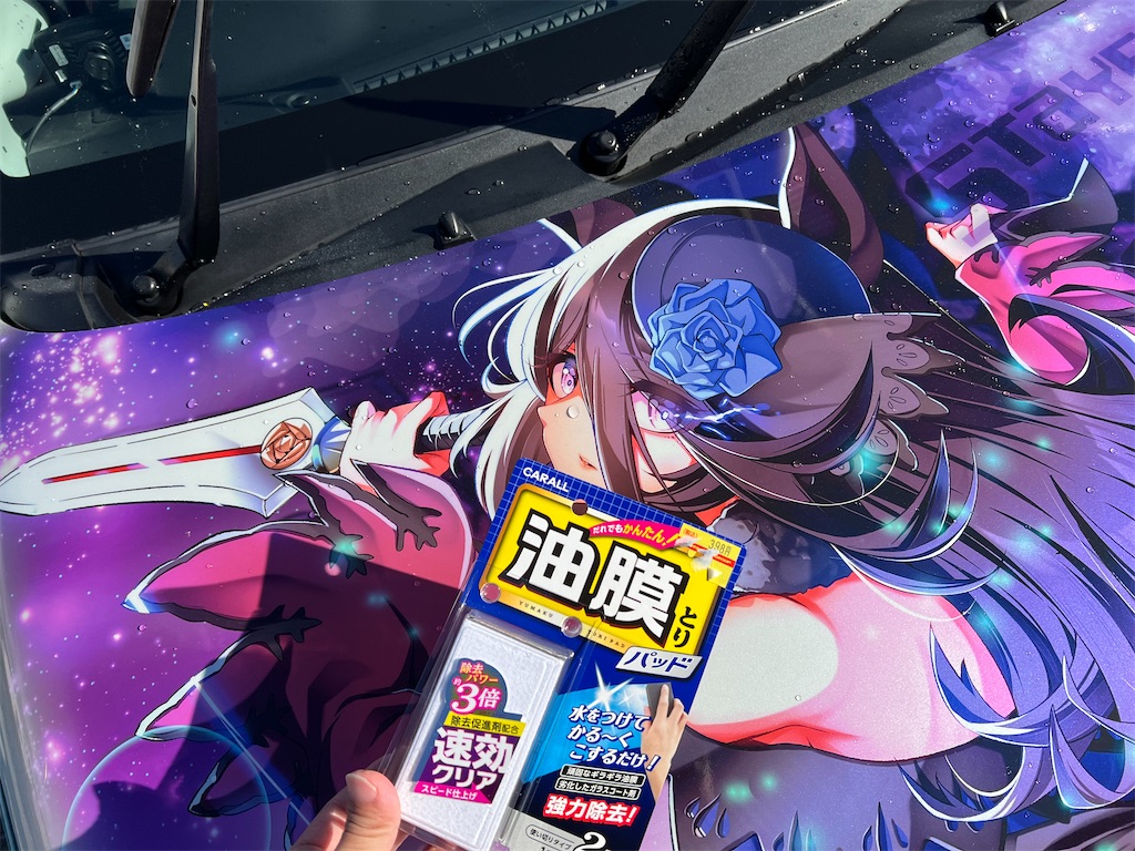 f:id:amekuressyu:20241219192328j:image