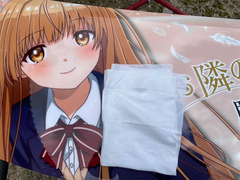 f:id:amekuressyu:20241229201338j:image
