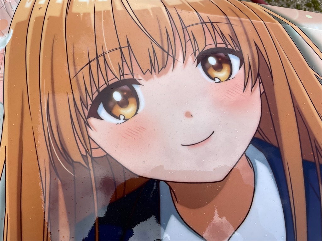 f:id:amekuressyu:20241229201427j:image