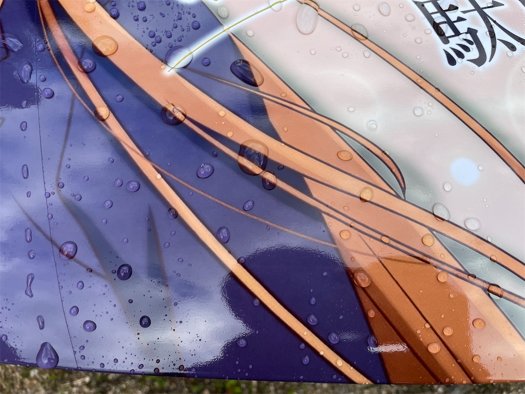 f:id:amekuressyu:20241230193112j:image