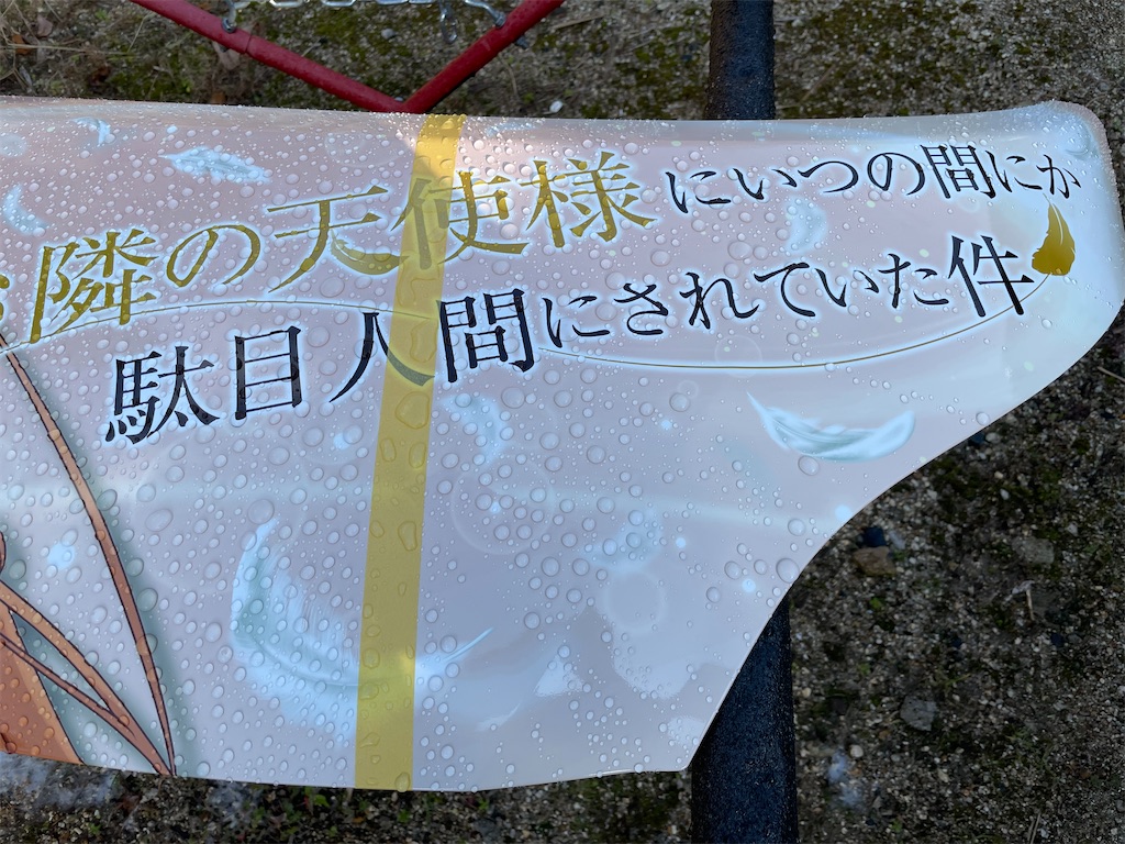f:id:amekuressyu:20250101083441j:image
