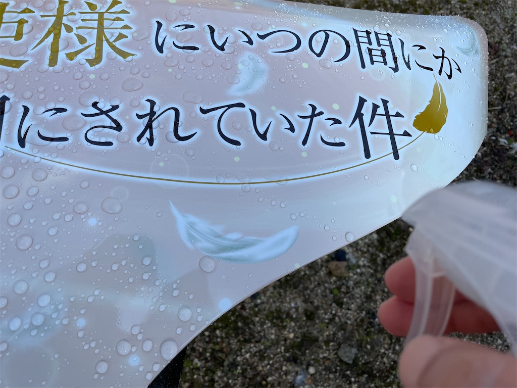 f:id:amekuressyu:20250101083453j:image