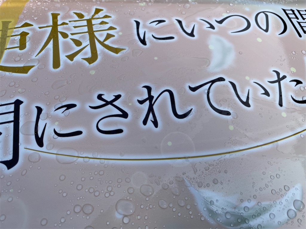 f:id:amekuressyu:20250105190534j:image