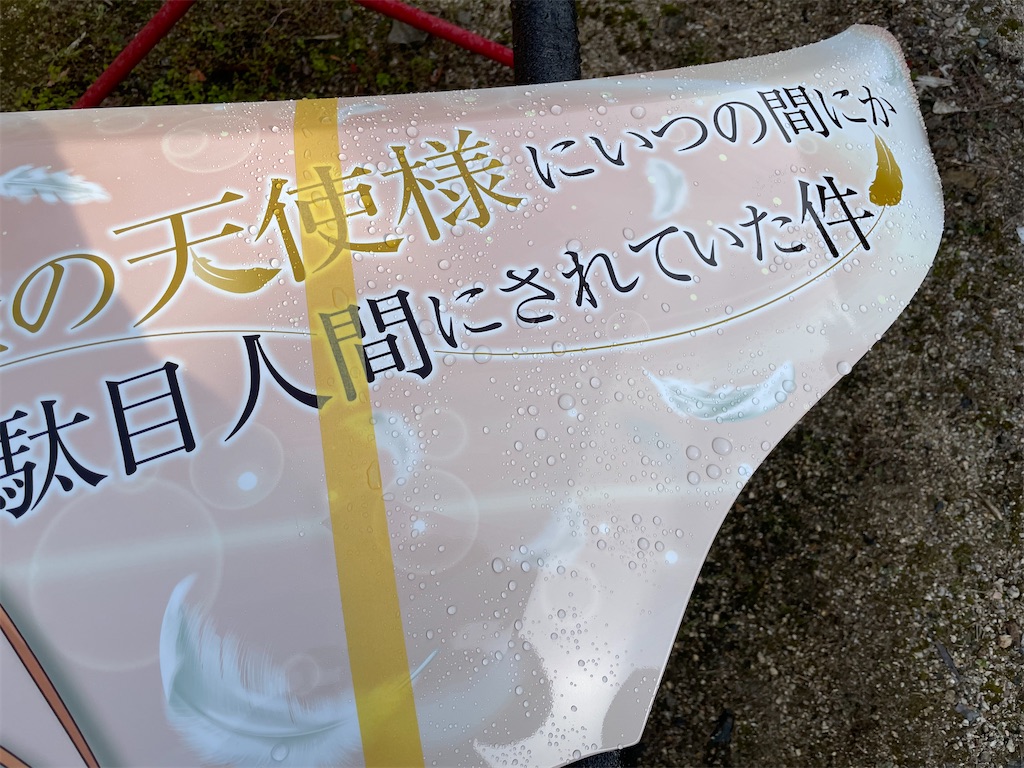 f:id:amekuressyu:20250105190537j:image