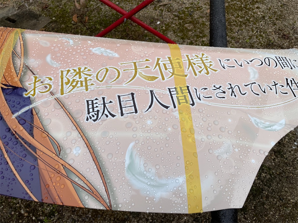 f:id:amekuressyu:20250109211537j:image