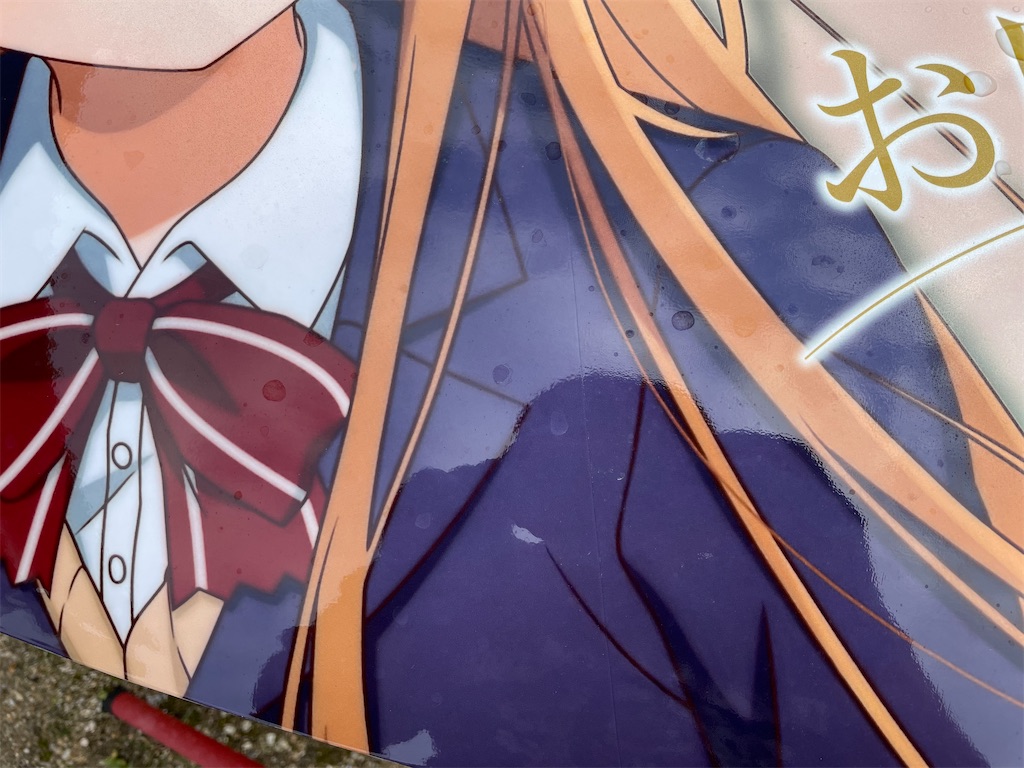 f:id:amekuressyu:20250203210329j:image
