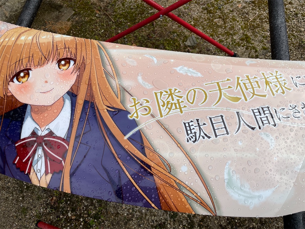 f:id:amekuressyu:20250203210332j:image