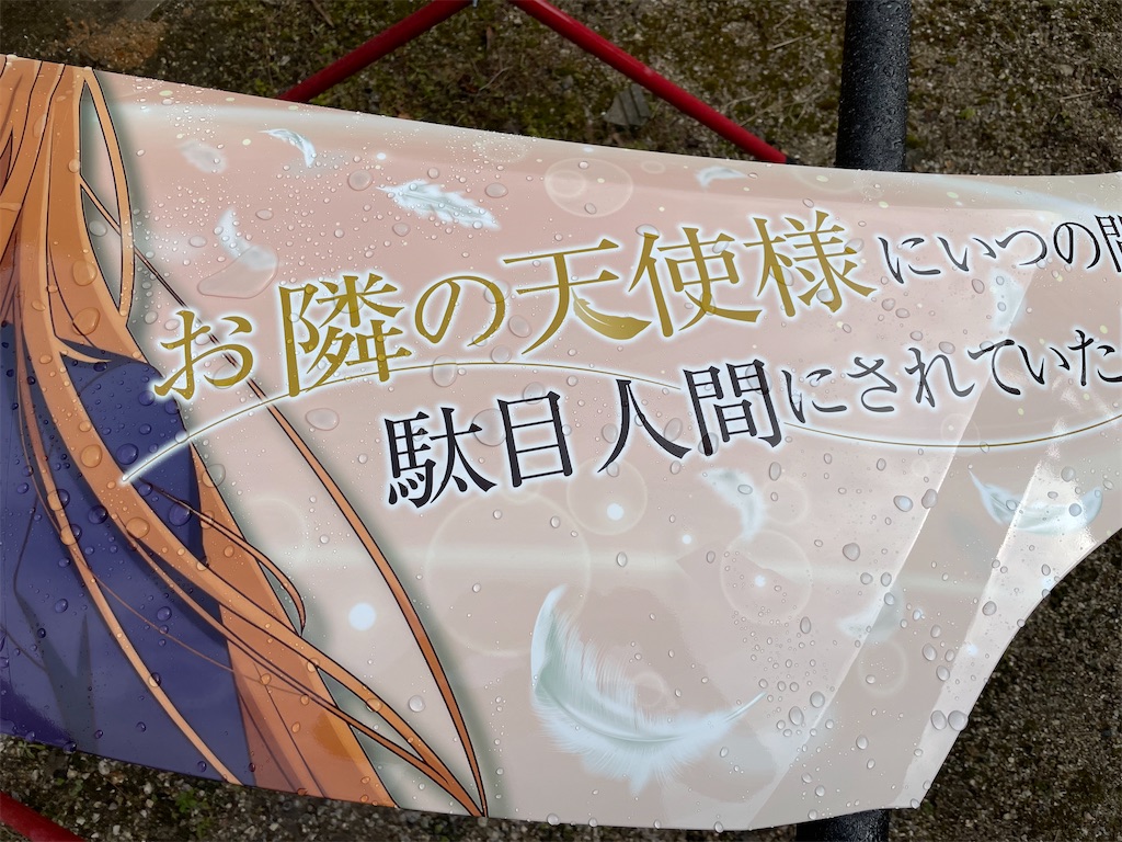 f:id:amekuressyu:20250203210338j:image