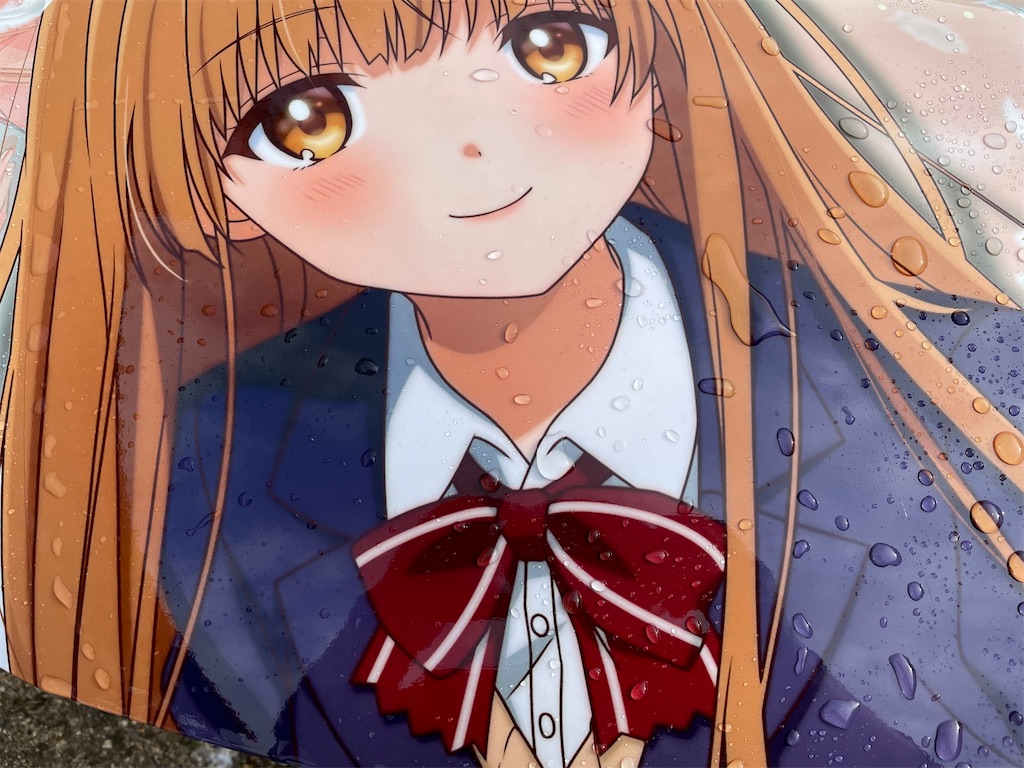 f:id:amekuressyu:20250203210348j:image