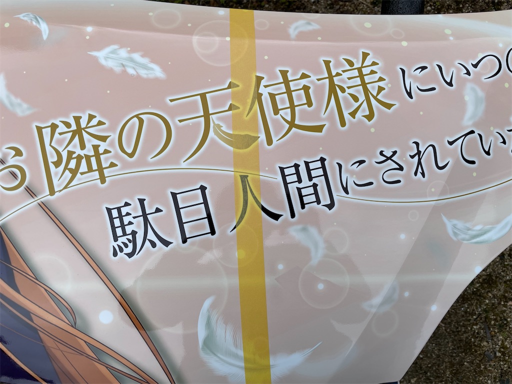 f:id:amekuressyu:20250206220031j:image