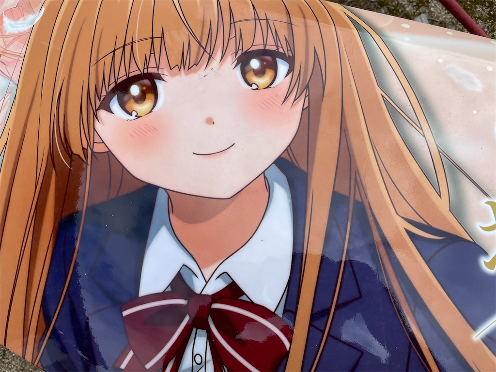 f:id:amekuressyu:20250211191330j:image