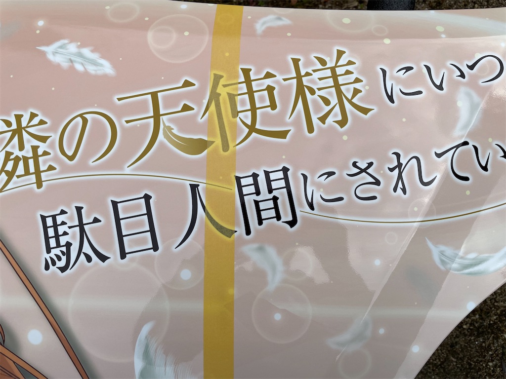 f:id:amekuressyu:20250212173721j:image