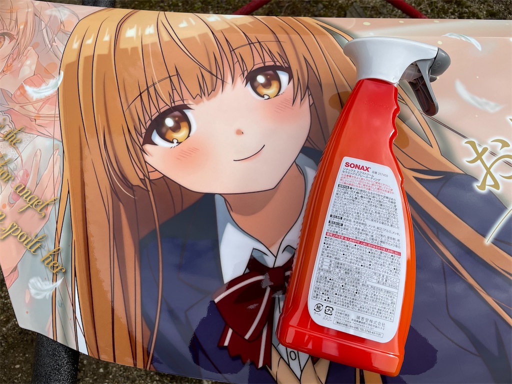 f:id:amekuressyu:20250213211229j:image