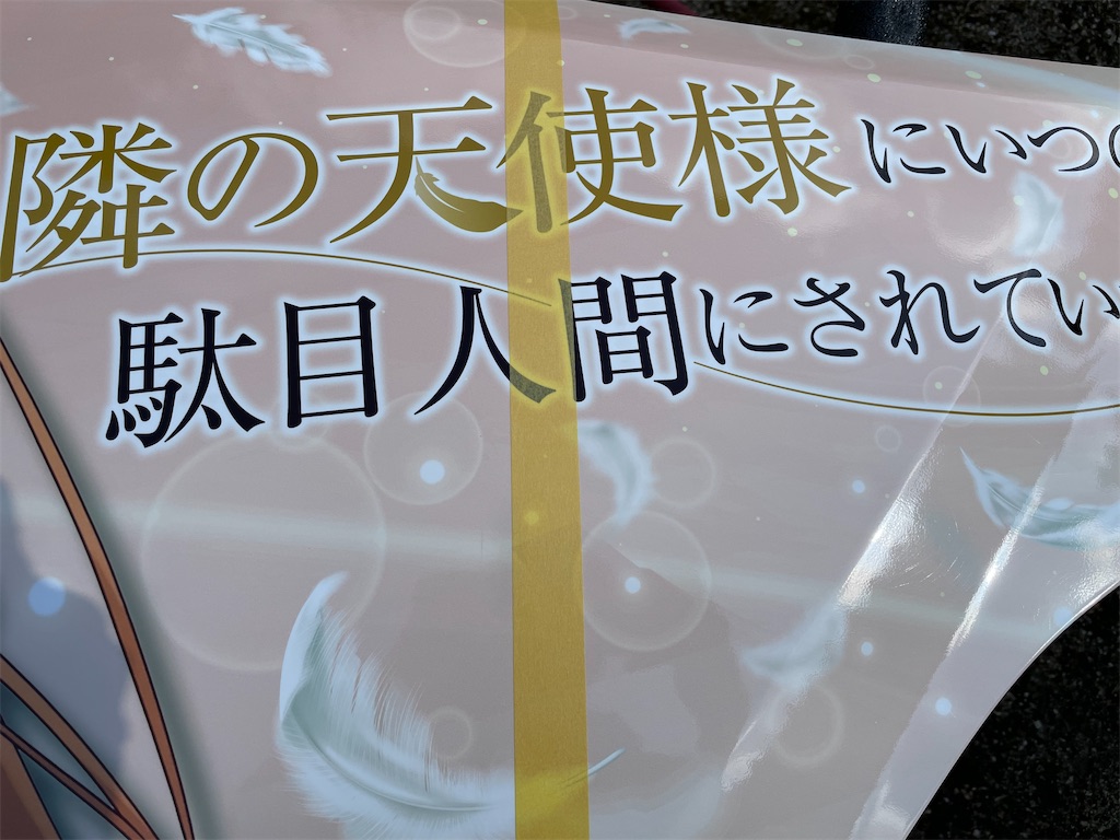 f:id:amekuressyu:20250213233001j:image