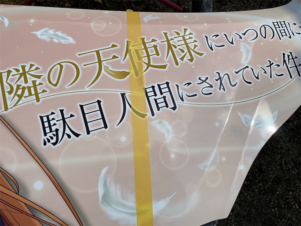 f:id:amekuressyu:20250213233008j:image